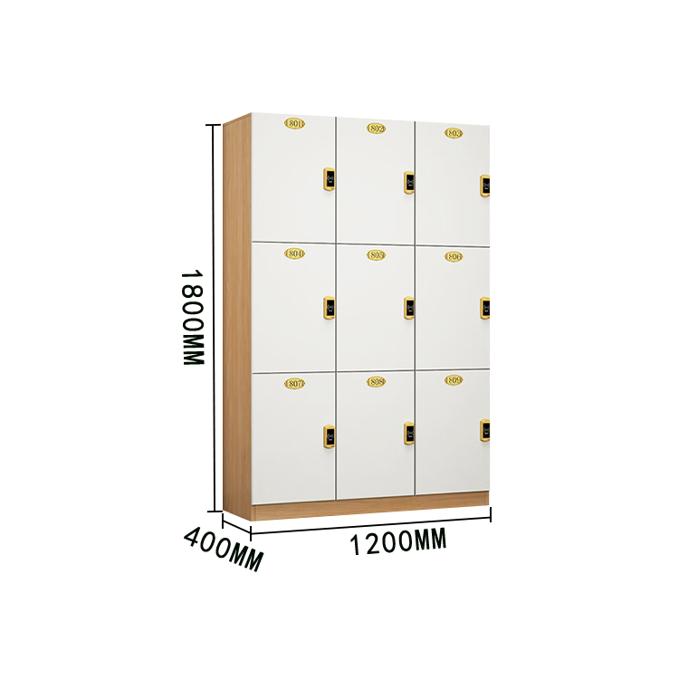 木製キャビネット 床置き型収納キャビネット 洗面台 収納棚 浴室 ロッカー サイドワゴン キャビネット 大容量収納 電子錠 上質なヒンジ 錠付き 厚手の板材 シンプル 高品質 広い モダン カスタマイズ可能 BGCWG-N022