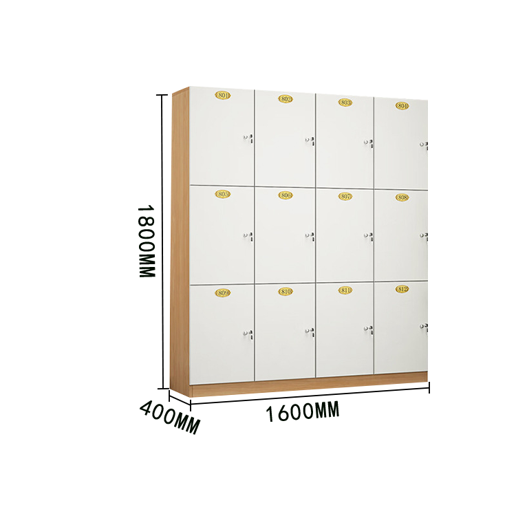 木製キャビネット 床置き型収納キャビネット 洗面台 収納棚 浴室 ロッカー サイドワゴン キャビネット 大容量収納 電子錠 上質なヒンジ 錠付き 厚手の板材 シンプル 高品質 広い モダン カスタマイズ可能 BGCWG-N022