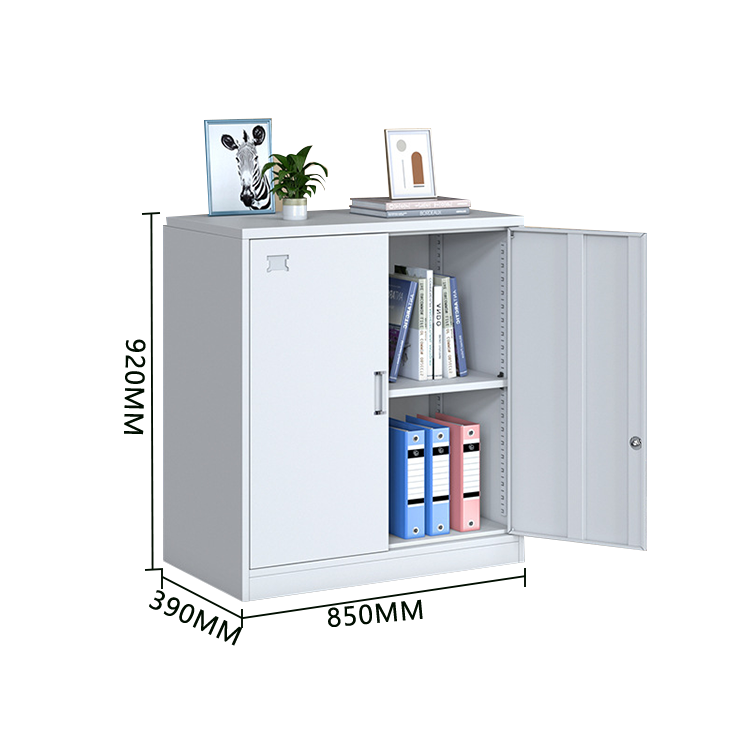 収納キャビネット 収納棚 スチールロッカー 分類収納 鍵付き 可動棚板 大容量収納 おしゃれ 洗練  カスタマイズ可能 BGCWG-N027