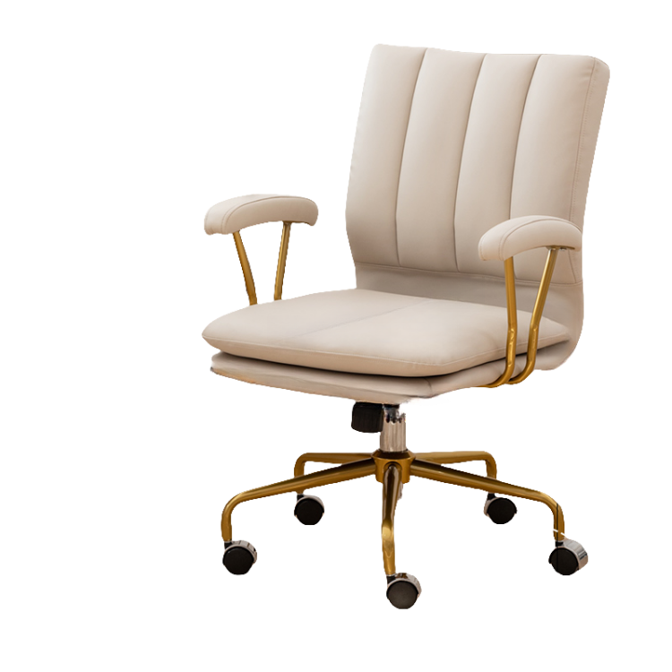 チェア デスクチェア オフィスチェア 調節可能なチェア パソコンチェア オフィス用 寝室用 在宅用 キャスター付き BGY-N007