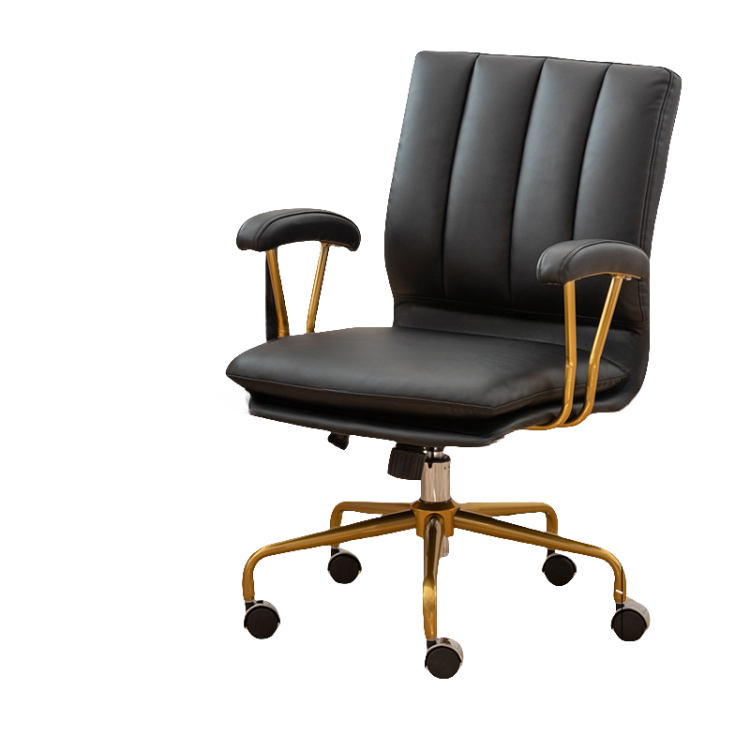 チェア デスクチェア オフィスチェア 調節可能なチェア パソコンチェア オフィス用 寝室用 在宅用 キャスター付き BGY-N007